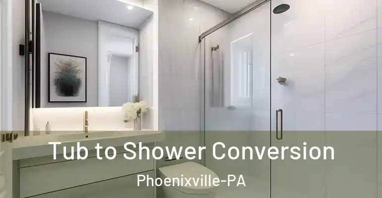 inner Bathroom imggen Tub to Shower Conversion Phoenixville-PA