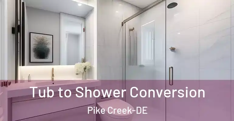 inner Bathroom imggen Tub to Shower Conversion Pike Creek-DE