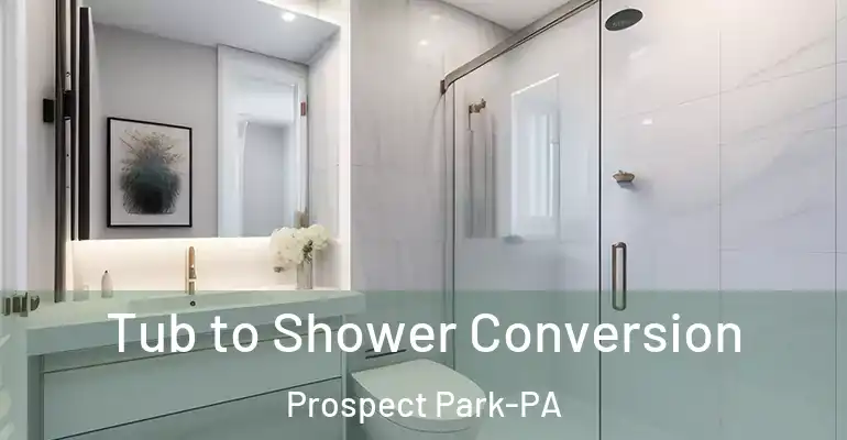 inner Bathroom imggen Tub to Shower Conversion Prospect Park-PA