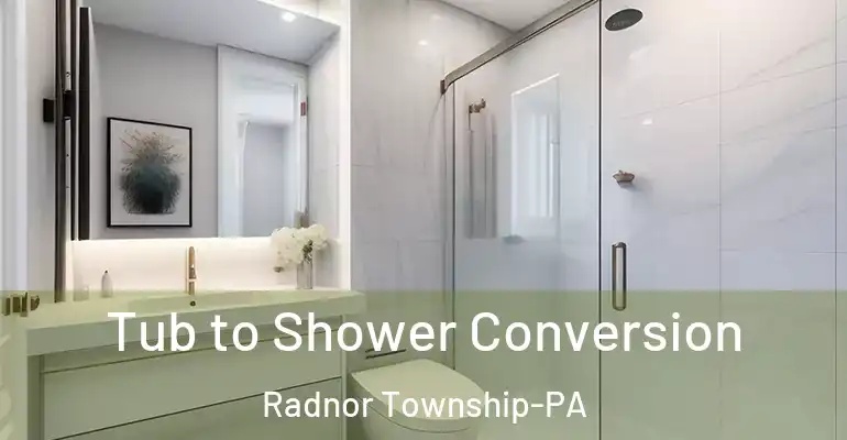 inner Bathroom imggen Tub to Shower Conversion Radnor Township-PA