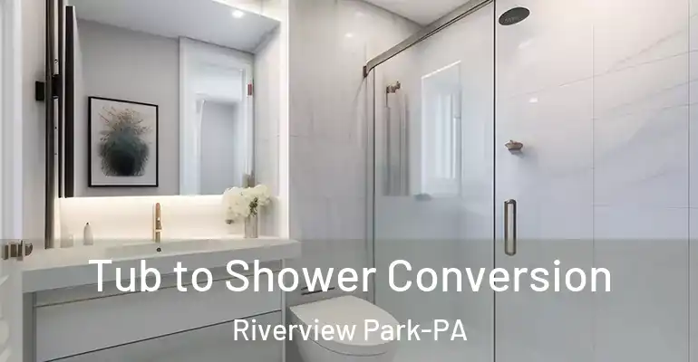 inner Bathroom imggen Tub to Shower Conversion Riverview Park-PA