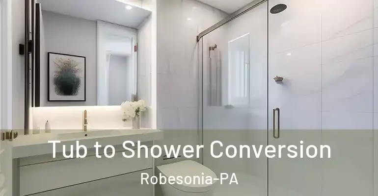 inner Bathroom imggen Tub to Shower Conversion Robesonia-PA