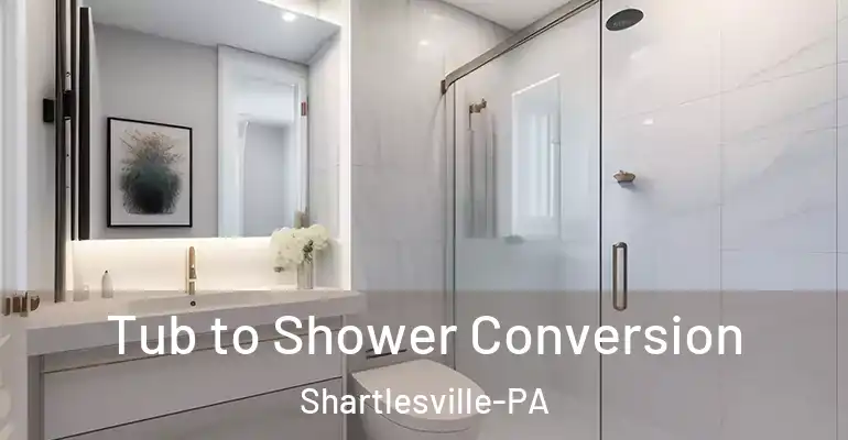 inner Bathroom imggen Tub to Shower Conversion Shartlesville-PA