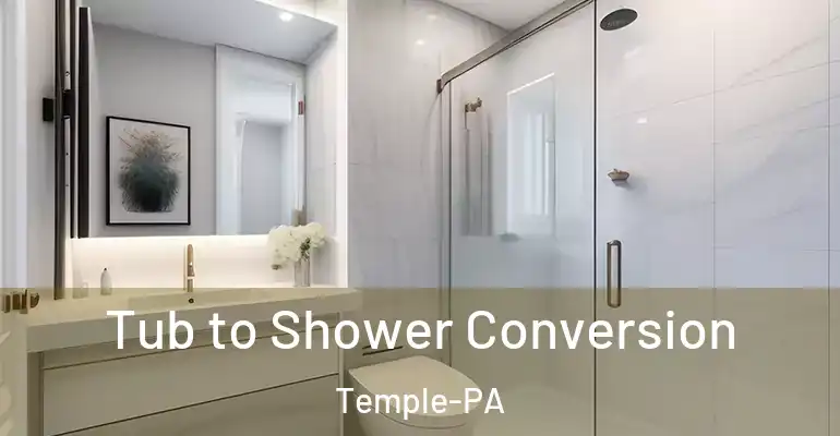 inner Bathroom imggen Tub to Shower Conversion Temple-PA