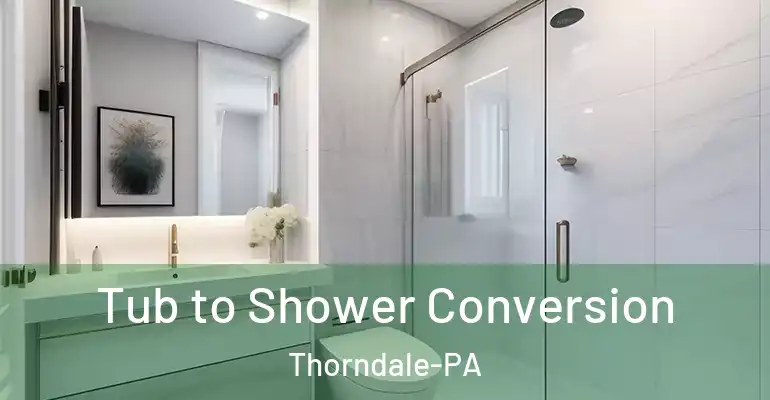 inner Bathroom imggen Tub to Shower Conversion Thorndale-PA
