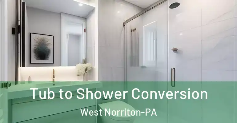 inner Bathroom imggen Tub to Shower Conversion West Norriton-PA