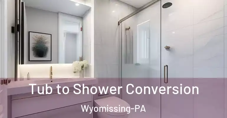inner Bathroom imggen Tub to Shower Conversion Wyomissing-PA