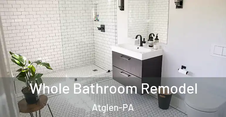inner Bathroom imggen Whole Bathroom Remodel Atglen-PA