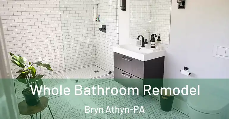 inner Bathroom imggen Whole Bathroom Remodel Bryn Athyn-PA
