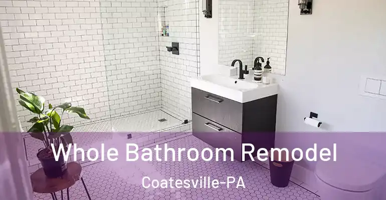 inner Bathroom imggen Whole Bathroom Remodel Coatesville-PA