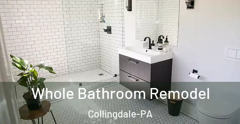 inner Bathroom imggen Whole Bathroom Remodel Collingdale-PA