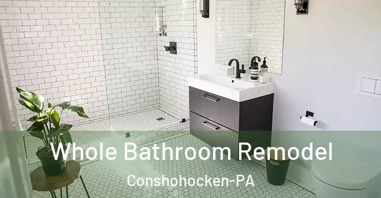 inner Bathroom imggen Whole Bathroom Remodel Conshohocken-PA