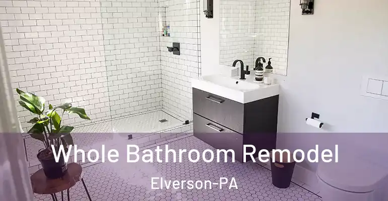 inner Bathroom imggen Whole Bathroom Remodel Elverson-PA