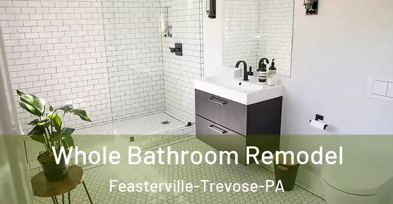 inner Bathroom imggen Whole Bathroom Remodel Feasterville-Trevose-PA