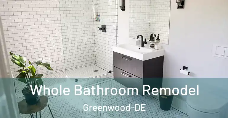 inner Bathroom imggen Whole Bathroom Remodel Greenwood-DE