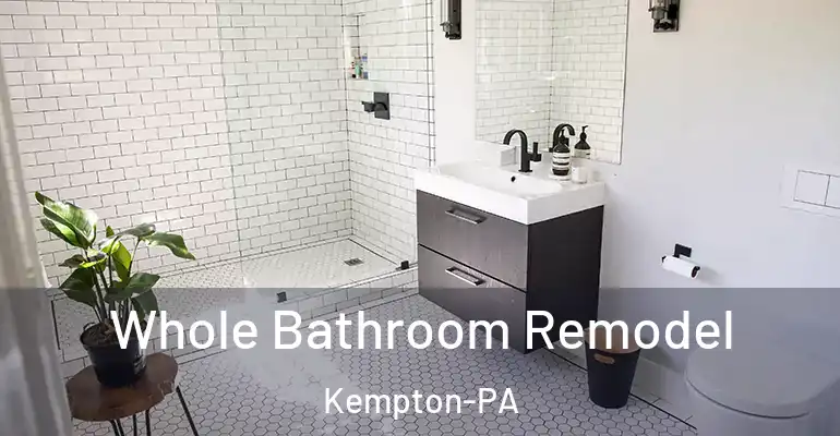 inner Bathroom imggen Whole Bathroom Remodel Kempton-PA