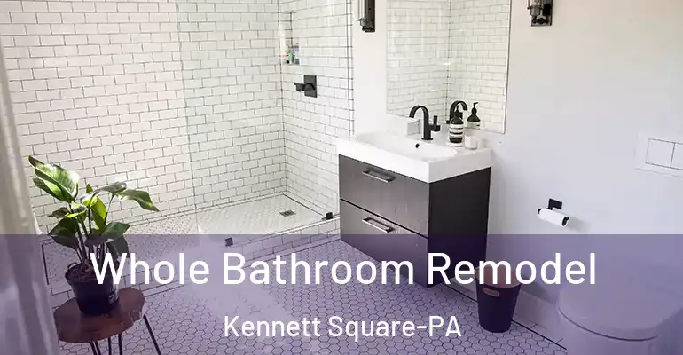inner Bathroom imggen Whole Bathroom Remodel Kennett Square-PA