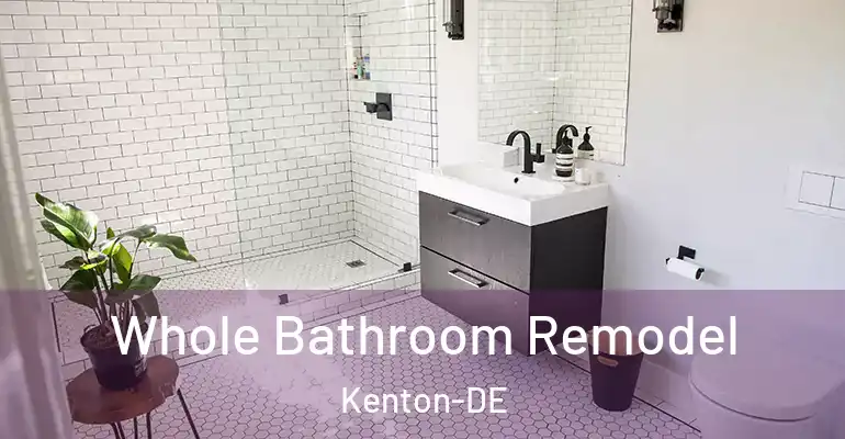 inner Bathroom imggen Whole Bathroom Remodel Kenton-DE