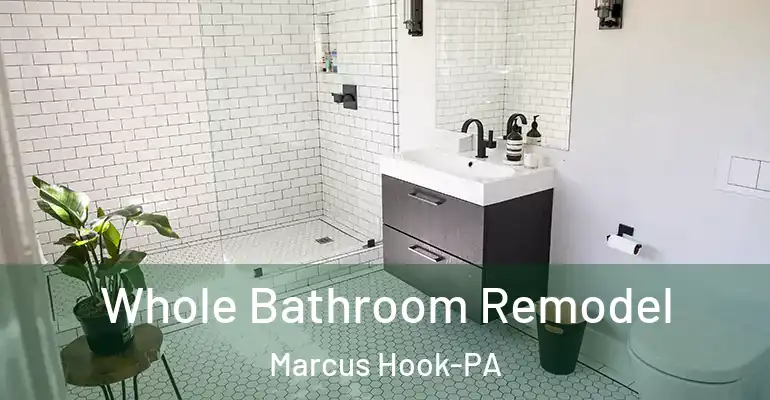 inner Bathroom imggen Whole Bathroom Remodel Marcus Hook-PA