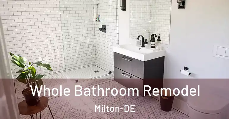 inner Bathroom imggen Whole Bathroom Remodel Milton-DE