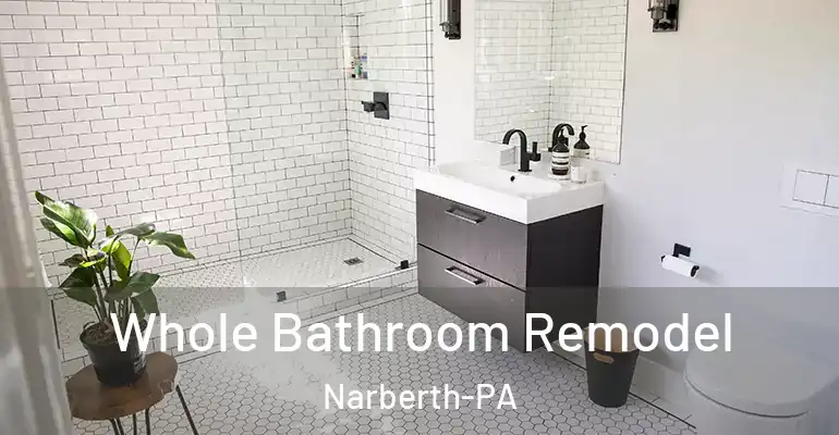 inner Bathroom imggen Whole Bathroom Remodel Narberth-PA