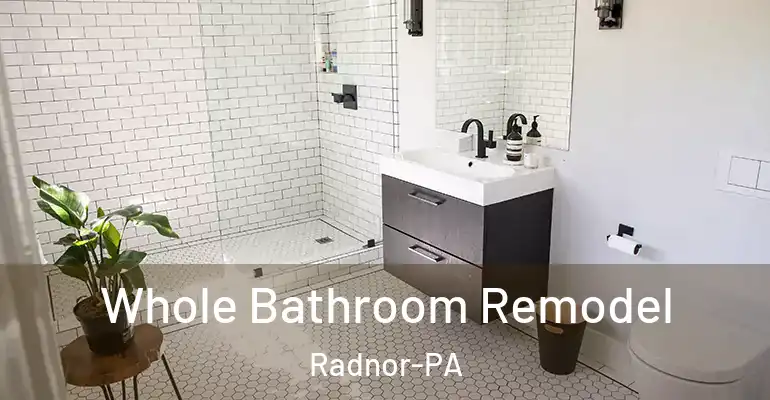 inner Bathroom imggen Whole Bathroom Remodel Radnor-PA