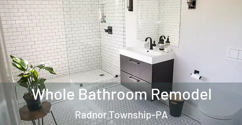inner Bathroom imggen Whole Bathroom Remodel Radnor Township-PA