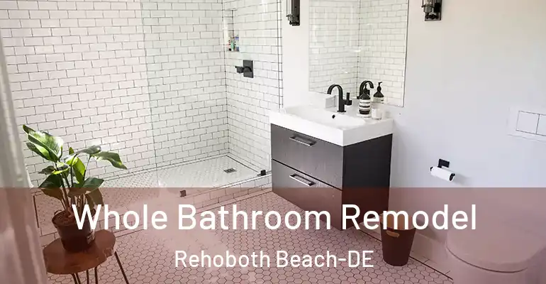 inner Bathroom imggen Whole Bathroom Remodel Rehoboth Beach-DE