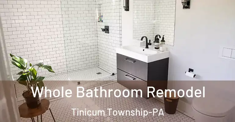inner Bathroom imggen Whole Bathroom Remodel Tinicum Township-PA