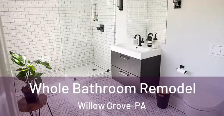 inner Bathroom imggen Whole Bathroom Remodel Willow Grove-PA